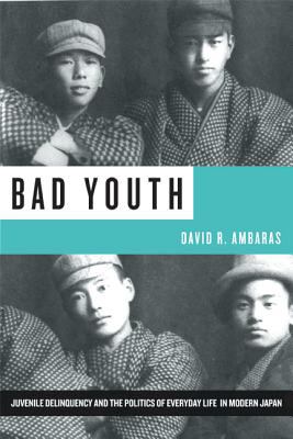 Bad Youth : juvenile delinquency and the politics of everyday life in modern Japan,